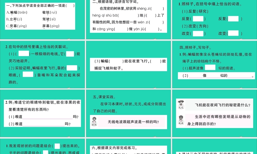 （广东地区）四年级语文上册 第二单元 6 夜间飞行的秘密作业课件 新人教版-新人教版小学四年级上册语文课件