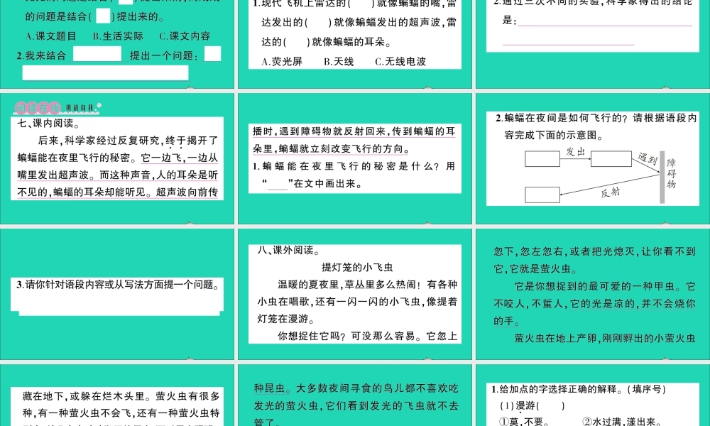 （广东地区）四年级语文上册 第二单元 6 夜间飞行的秘密作业课件 新人教版-新人教版小学四年级上册语文课件