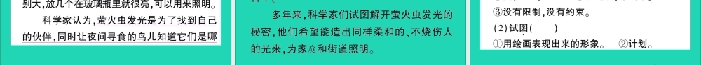 （广东地区）四年级语文上册 第二单元 6 夜间飞行的秘密作业课件 新人教版-新人教版小学四年级上册语文课件