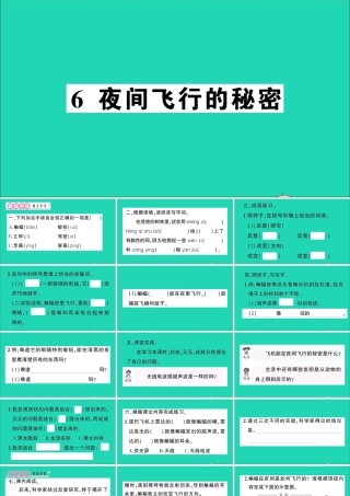 （广东地区）四年级语文上册 第二单元 6 夜间飞行的秘密作业课件 新人教版-新人教版小学四年级上册语文课件