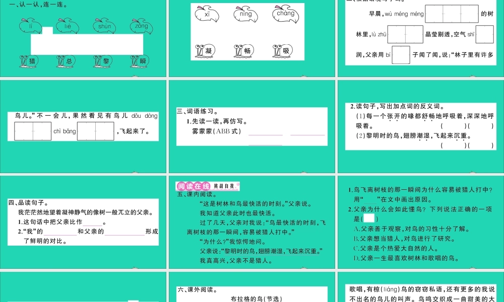 （广东地区）三年级语文上册 第七单元 23 父亲、树林和鸟作业课件 新人教版-新人教版小学三年级上册语文课件
