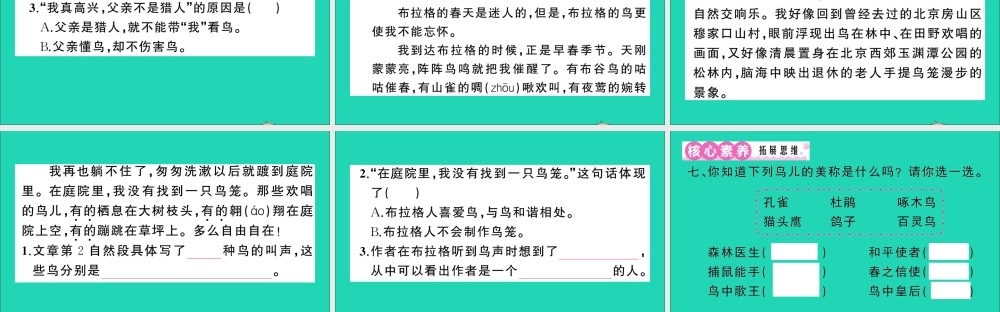 （广东地区）三年级语文上册 第七单元 23 父亲、树林和鸟作业课件 新人教版-新人教版小学三年级上册语文课件