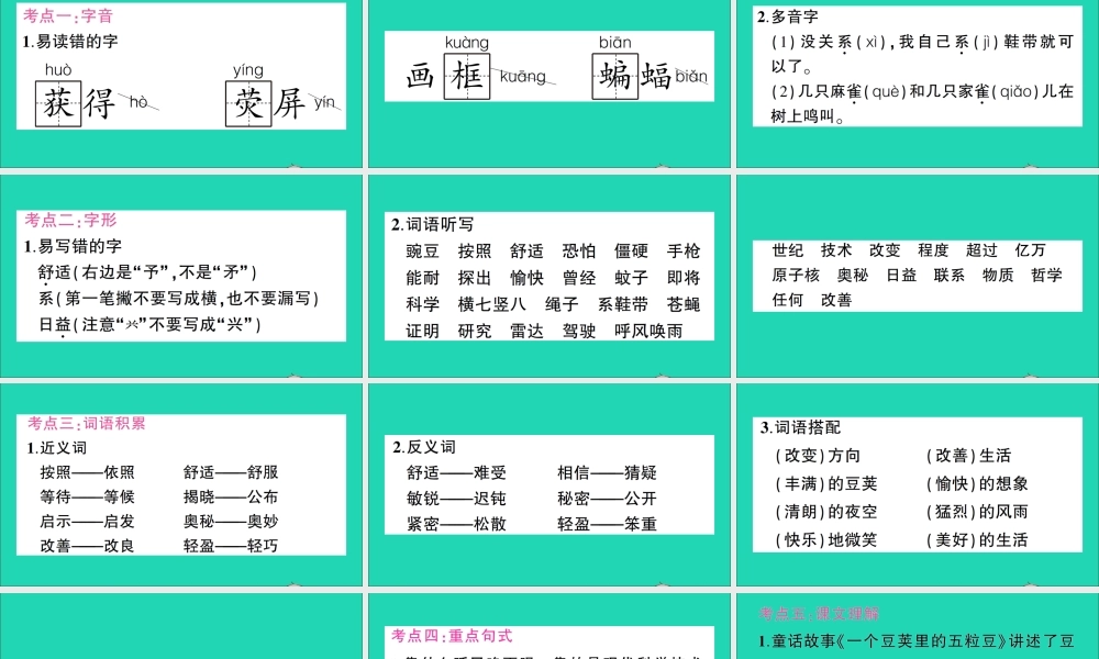 （广东地区）四年级语文上册 第二单元知识总结作业课件 新人教版-新人教版小学四年级上册语文课件