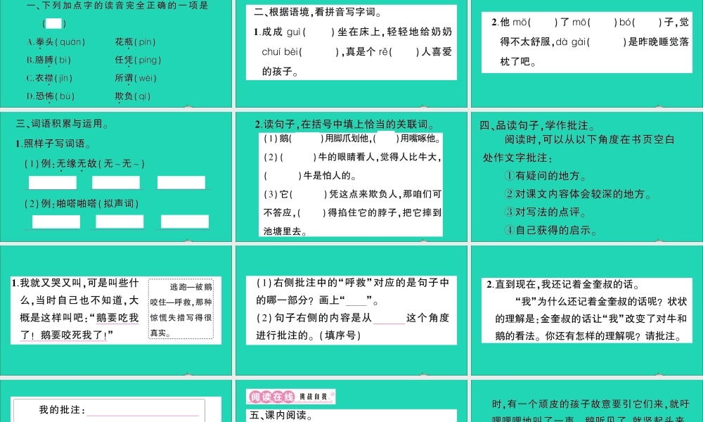 （广东地区）四年级语文上册 第六单元 18 牛和鹅作业课件 新人教版-新人教版小学四年级上册语文课件