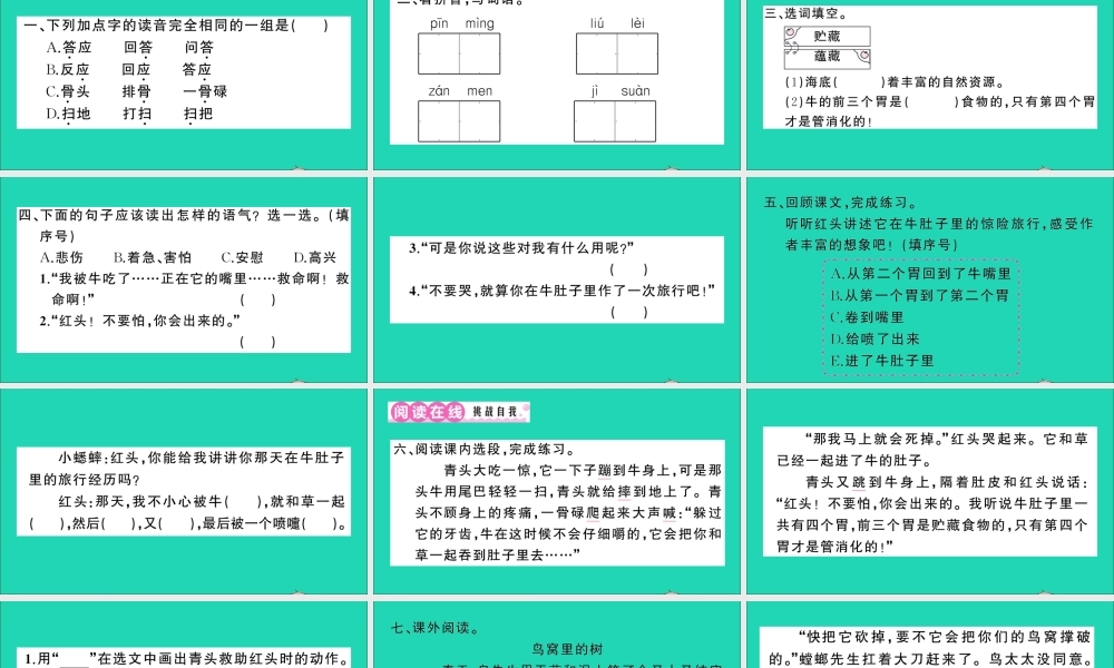 （广东地区）三年级语文上册 第三单元 10 在牛肚子里旅行作业课件 新人教版-新人教版小学三年级上册语文课件