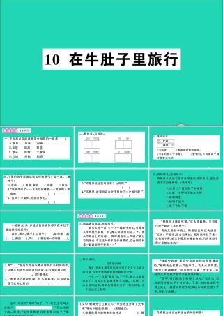 （广东地区）三年级语文上册 第三单元 10 在牛肚子里旅行作业课件 新人教版-新人教版小学三年级上册语文课件