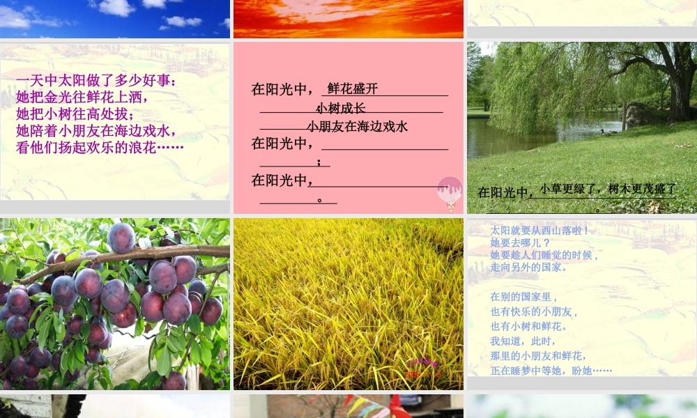 （秋季版）二年级语文上册 第九单元 太阳是大家的课件3 湘教版-湘教版小学二年级上册语文课件