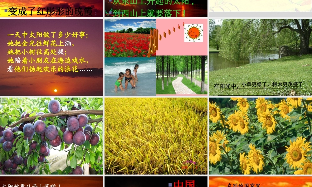 （秋季版）二年级语文上册 第九单元 太阳是大家的课件4 湘教版-湘教版小学二年级上册语文课件