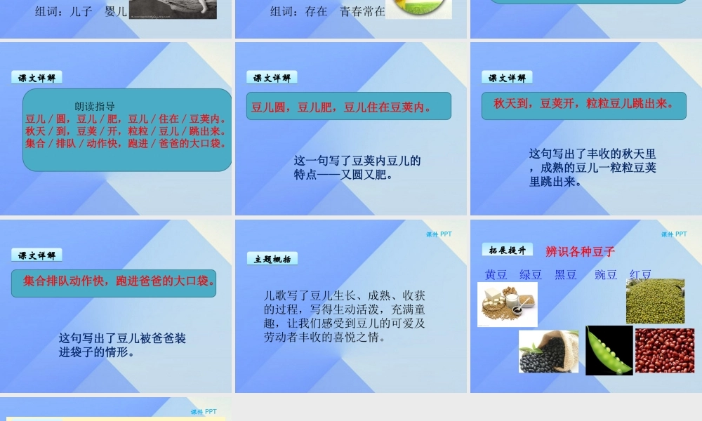 （秋季版）一年级语文上册 第8单元 豆儿圆课件9 北师大版-北师大版小学一年级上册语文课件