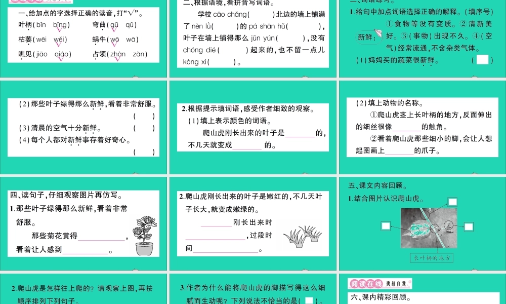 （广东地区）四年级语文上册 第三单元 10 爬山虎的脚作业课件 新人教版-新人教版小学四年级上册语文课件