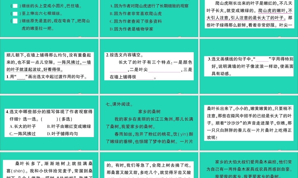 （广东地区）四年级语文上册 第三单元 10 爬山虎的脚作业课件 新人教版-新人教版小学四年级上册语文课件