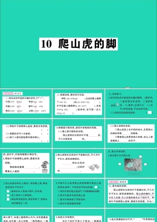 （广东地区）四年级语文上册 第三单元 10 爬山虎的脚作业课件 新人教版-新人教版小学四年级上册语文课件
