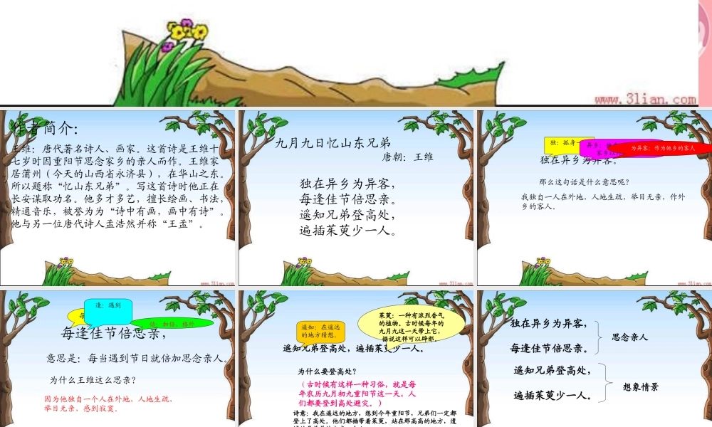 （秋季版）二年级语文上册 第七单元 九月九日忆山东兄弟课件2 湘教版-湘教版小学二年级上册语文课件