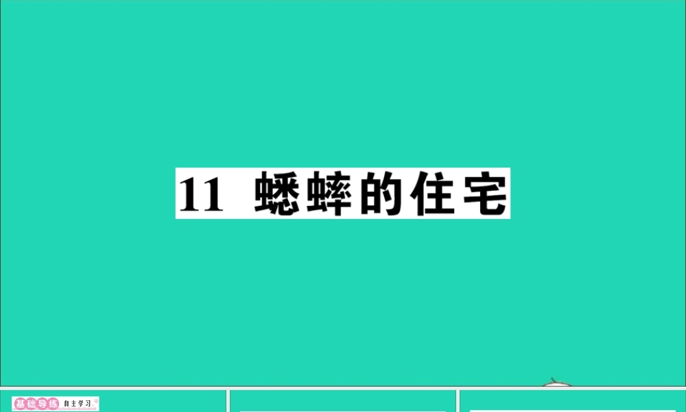 （广东地区）四年级语文上册 第三单元 11 蟋蟀的住宅作业课件 新人教版-新人教版小学四年级上册语文课件
