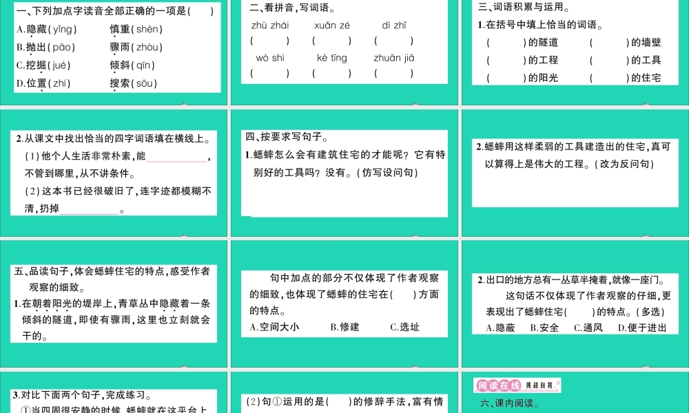 （广东地区）四年级语文上册 第三单元 11 蟋蟀的住宅作业课件 新人教版-新人教版小学四年级上册语文课件