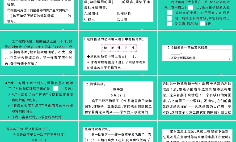 （广东地区）四年级语文上册 第三单元 11 蟋蟀的住宅作业课件 新人教版-新人教版小学四年级上册语文课件