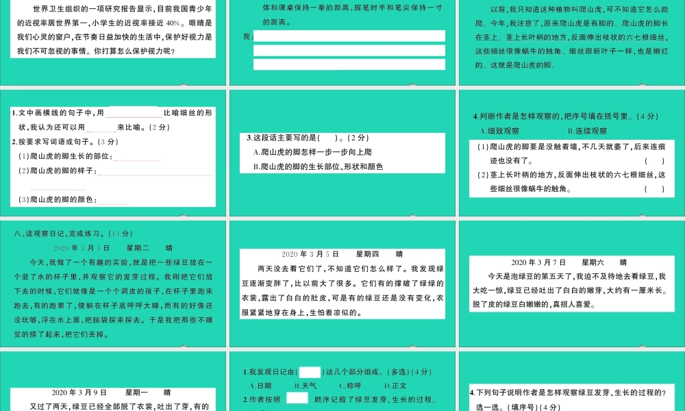 （广东地区）四年级语文上册 第三单元测试课件 新人教版-新人教版小学四年级上册语文课件