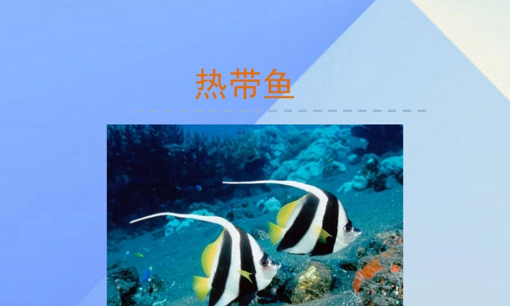 （秋季版）一年级语文上册 第8单元 热带鱼课件6 北师大版-北师大版小学一年级上册语文课件