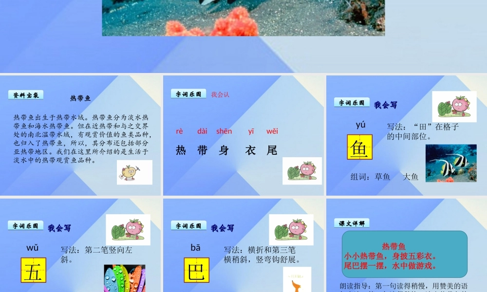 （秋季版）一年级语文上册 第8单元 热带鱼课件6 北师大版-北师大版小学一年级上册语文课件
