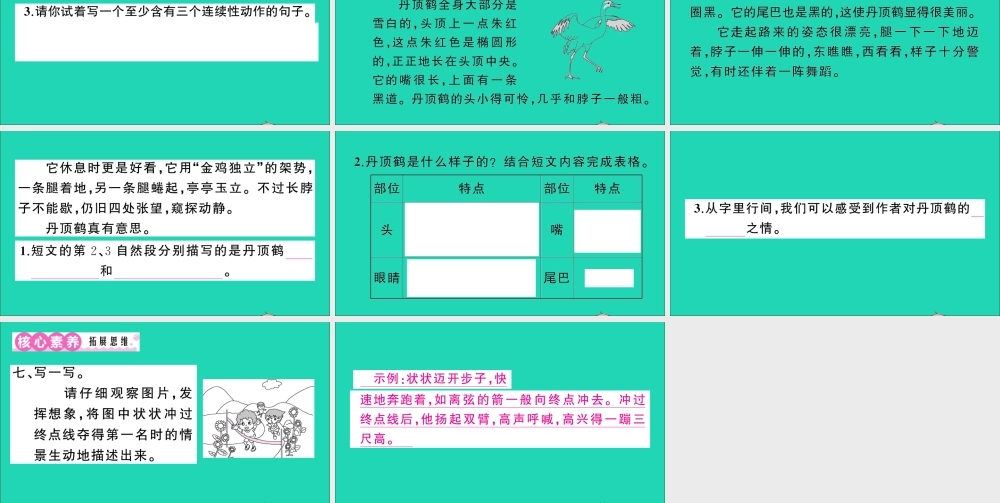 （广东地区）三年级语文上册 第五单元 15 搭船的鸟作业课件 新人教版-新人教版小学三年级上册语文课件