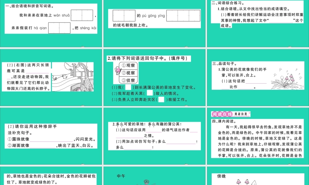 （广东地区）三年级语文上册 第五单元 16 金色的草地作业课件 新人教版-新人教版小学三年级上册语文课件