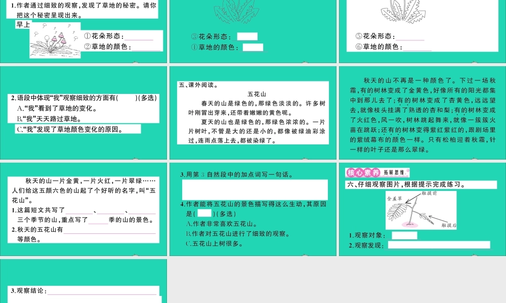 （广东地区）三年级语文上册 第五单元 16 金色的草地作业课件 新人教版-新人教版小学三年级上册语文课件