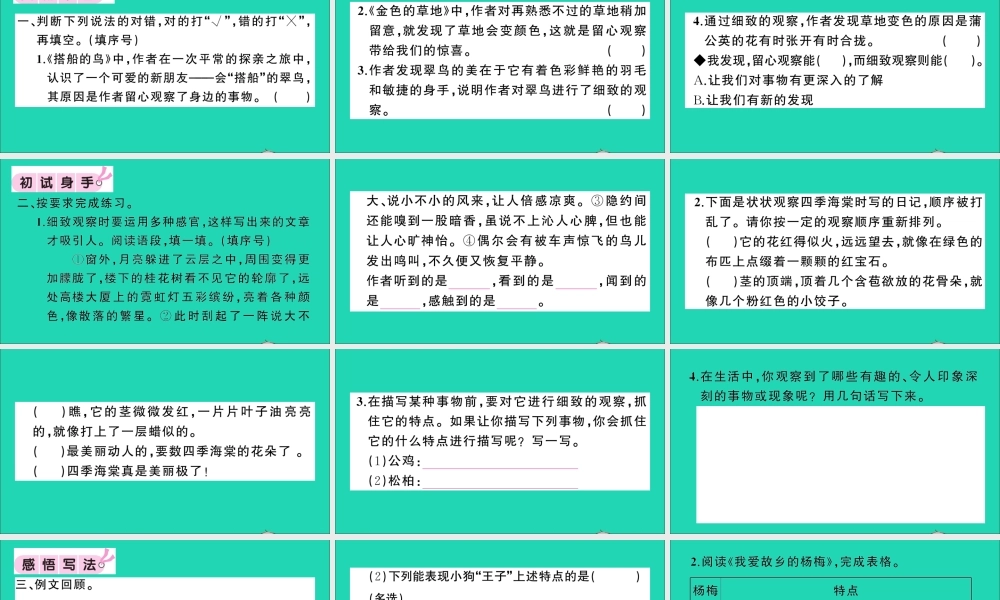 （广东地区）三年级语文上册 第五单元 习作园地作业课件 新人教版-新人教版小学三年级上册语文课件