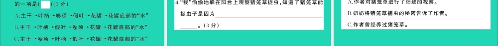 （广东地区）三年级语文上册 第五单元测试课件 新人教版-新人教版小学三年级上册语文课件