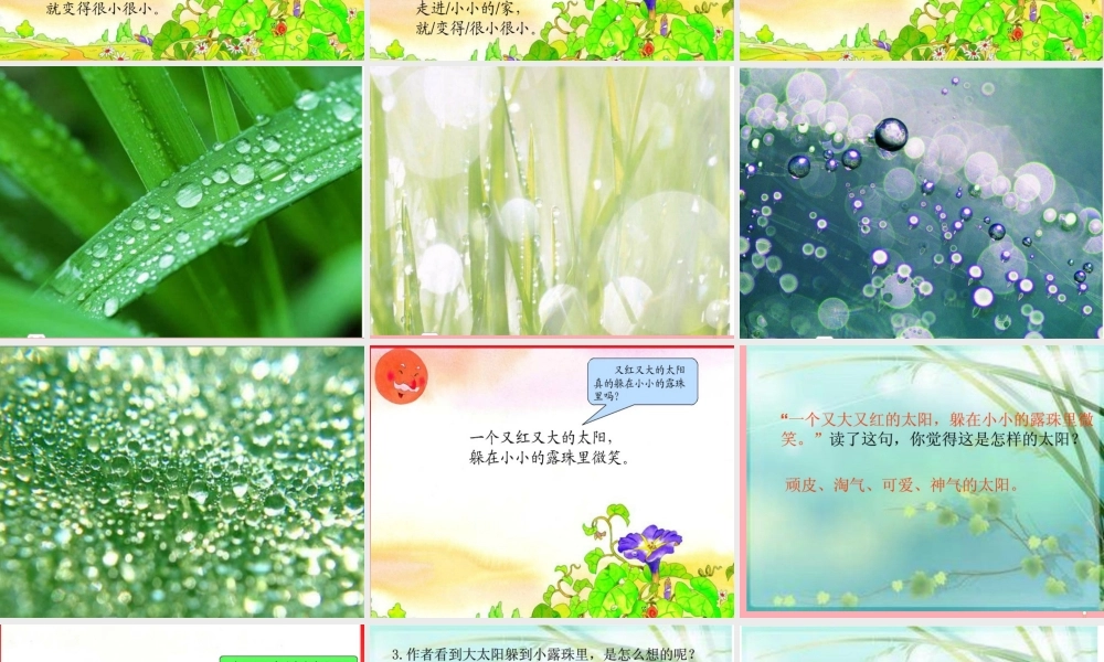 （秋季版）二年级语文上册 第三单元 大太阳的小房子课件2 湘教版-湘教版小学二年级上册语文课件