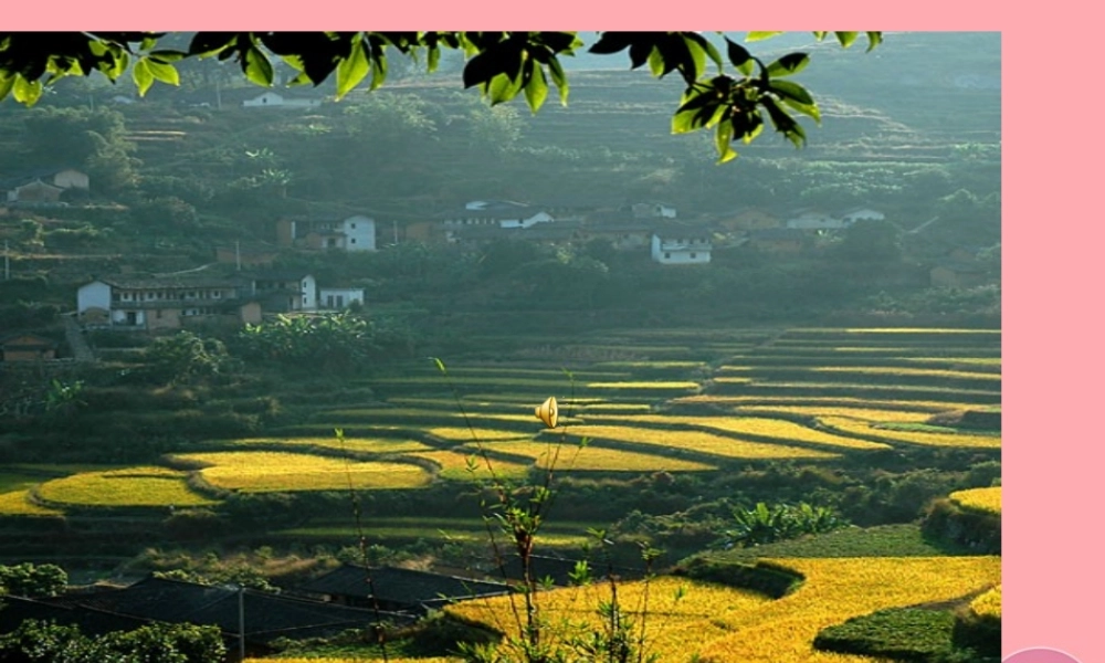 （秋季版）二年级语文上册 第三单元 丰收的画课件1 湘教版-湘教版小学二年级上册语文课件