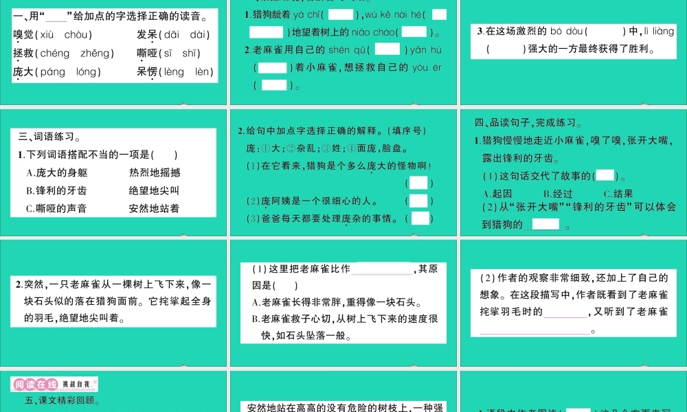 （广东地区）四年级语文上册 第五单元 16 麻雀作业课件 新人教版-新人教版小学四年级上册语文课件