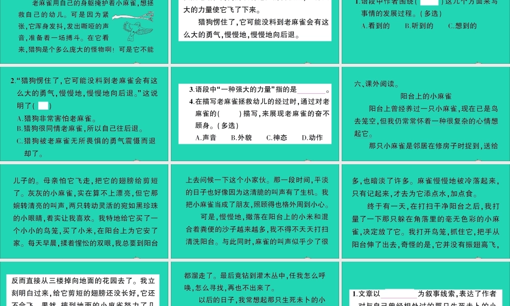 （广东地区）四年级语文上册 第五单元 16 麻雀作业课件 新人教版-新人教版小学四年级上册语文课件