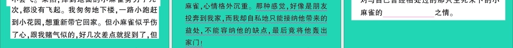 （广东地区）四年级语文上册 第五单元 16 麻雀作业课件 新人教版-新人教版小学四年级上册语文课件