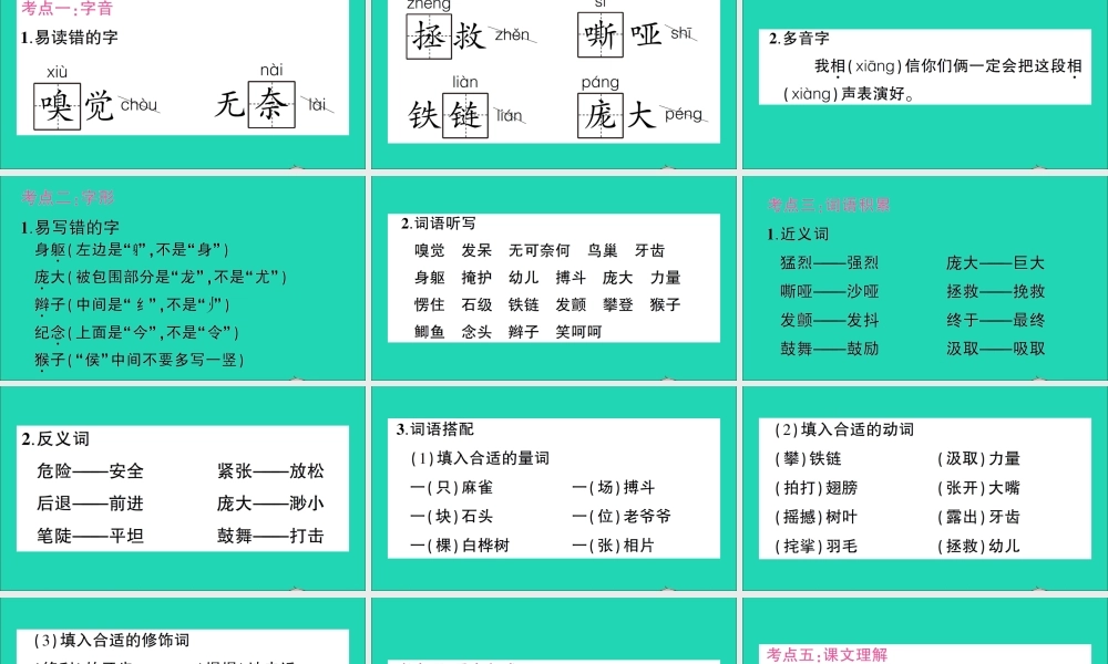 （广东地区）四年级语文上册 第五单元知识总结作业课件 新人教版-新人教版小学四年级上册语文课件