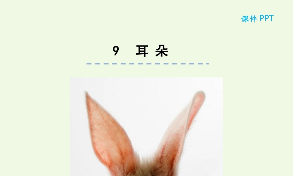 （秋季版）一年级语文上册 第9课 耳朵课件 冀教版-冀教版小学一年级上册语文课件
