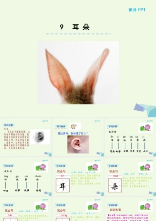 （秋季版）一年级语文上册 第9课 耳朵课件 冀教版-冀教版小学一年级上册语文课件
