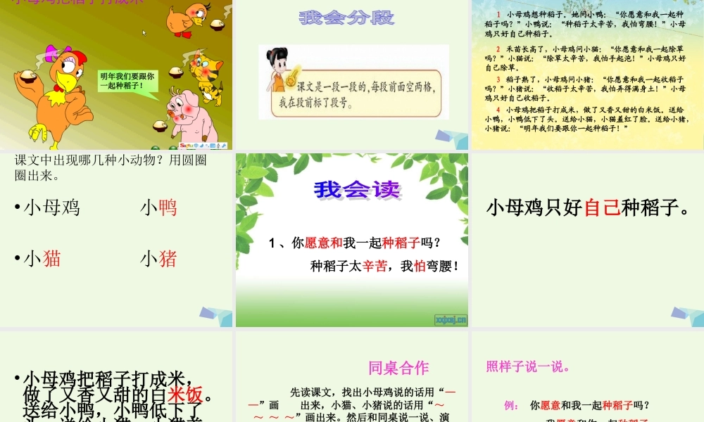 （秋季版）一年级语文上册 第10单元 小母鸡种稻子课件2 北师大版-北师大版小学一年级上册语文课件