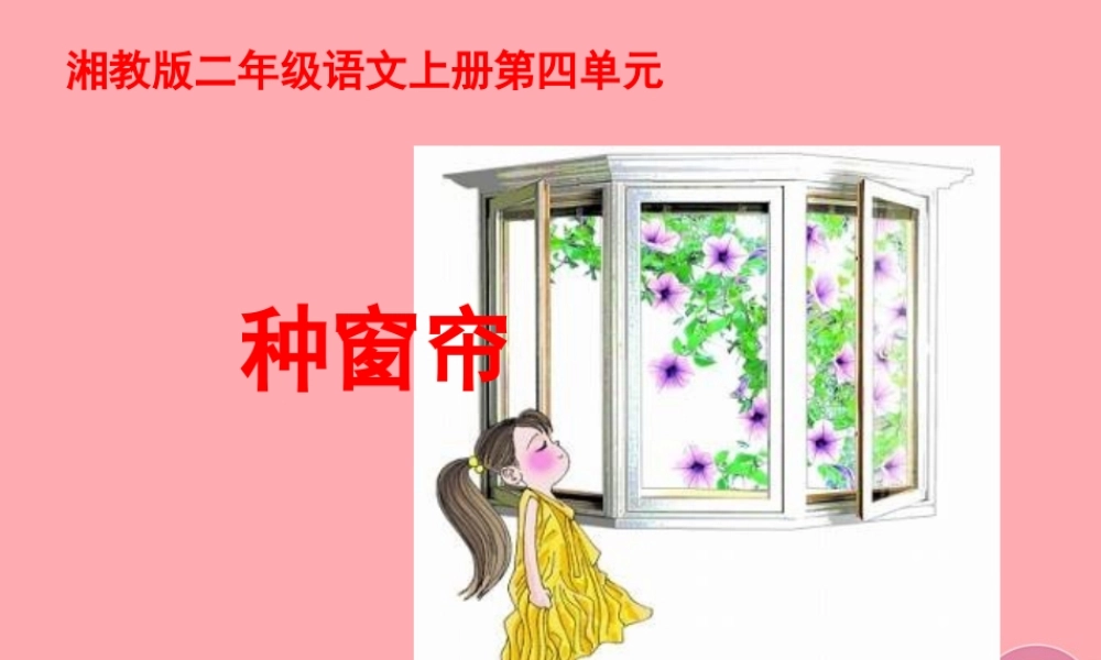 （秋季版）二年级语文上册 第四单元 种窗帘课件1 湘教版-湘教版小学二年级上册语文课件