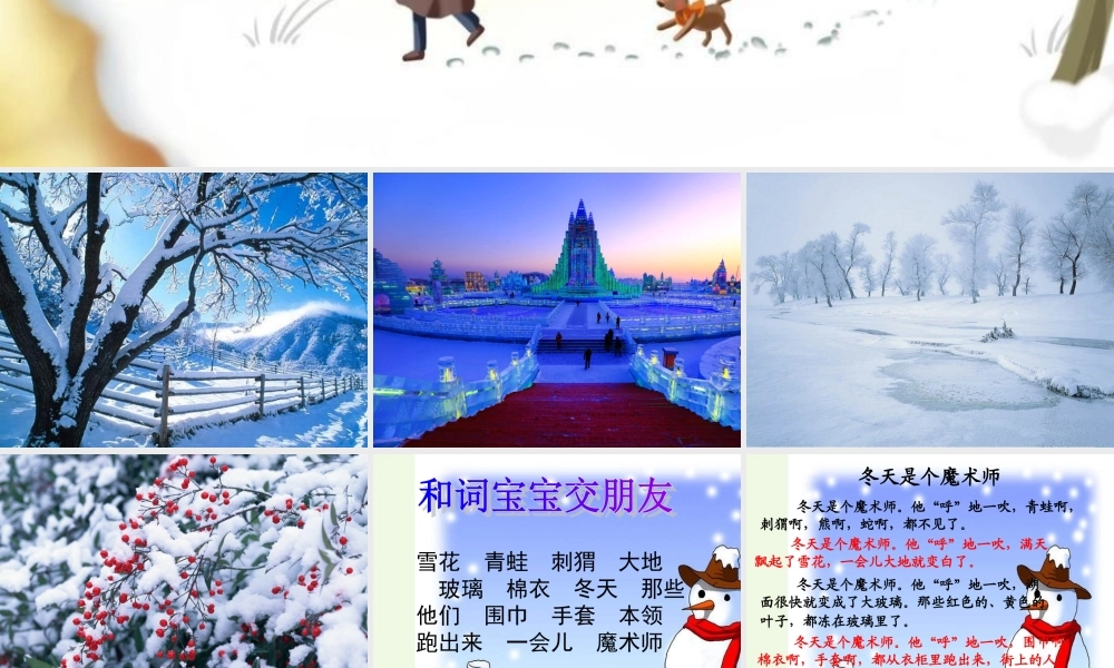 （秋季版）一年级语文上册 第11单元 冬天是个魔术师课件1 北师大版-北师大版小学一年级上册语文课件