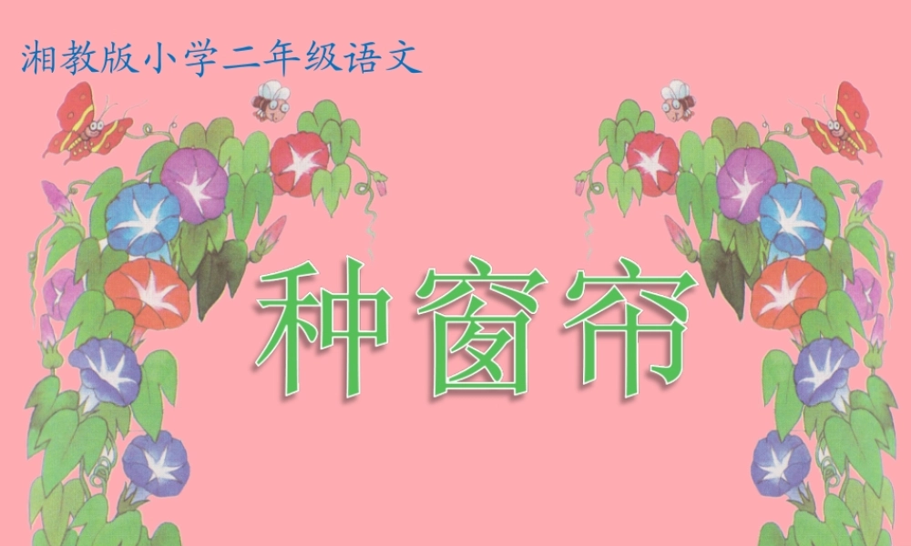 （秋季版）二年级语文上册 第四单元 种窗帘课件2 湘教版-湘教版小学二年级上册语文课件