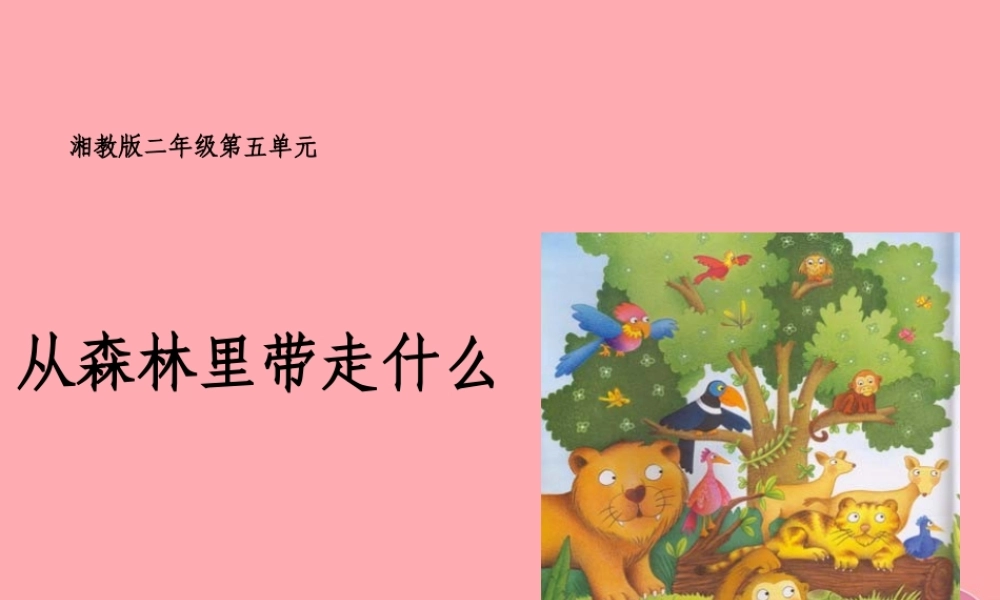 （秋季版）二年级语文上册 第五单元 从森林里带走什么课件1 湘教版-湘教版小学二年级上册语文课件
