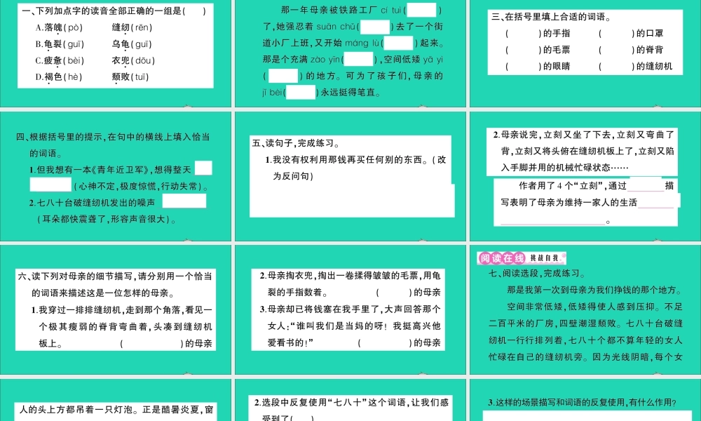 （广东级语文上册 第六单元 18 慈母情深作业课件 新人教版-新人教级上册语文课件