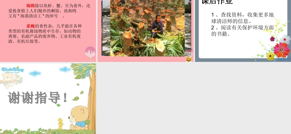 （秋季版）二年级语文上册 第五单元 地球清洁师课件3 湘教版-湘教版小学二年级上册语文课件