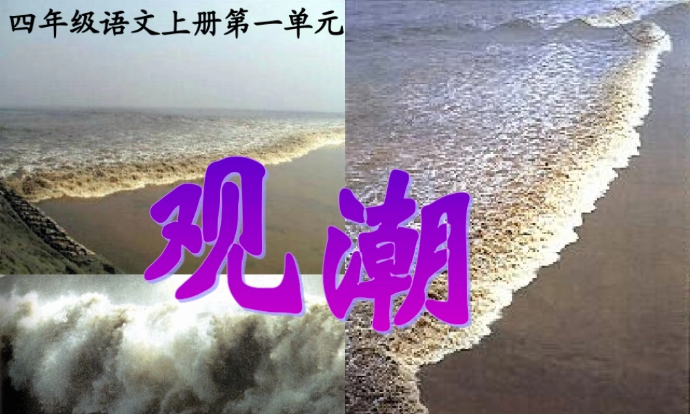 秋四年级语文上册《观潮》课件2 冀教版-冀教版小学四年级上册语文课件