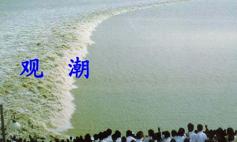 秋四年级语文上册《观潮》课件3 冀教版-冀教版小学四年级上册语文课件