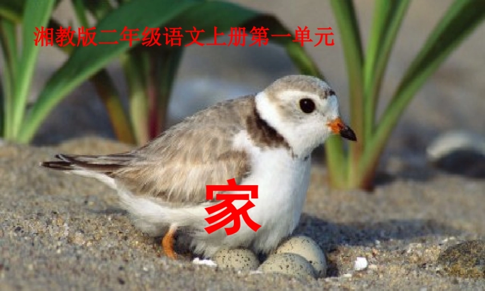 （秋季版）二年级语文上册 第一单元 家课件2 湘教版-湘教版小学二年级上册语文课件