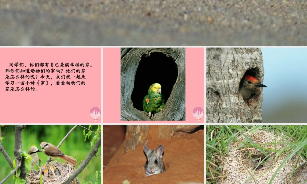 （秋季版）二年级语文上册 第一单元 家课件2 湘教版-湘教版小学二年级上册语文课件