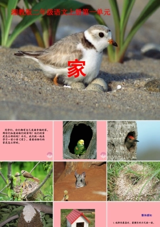 （秋季版）二年级语文上册 第一单元 家课件2 湘教版-湘教版小学二年级上册语文课件