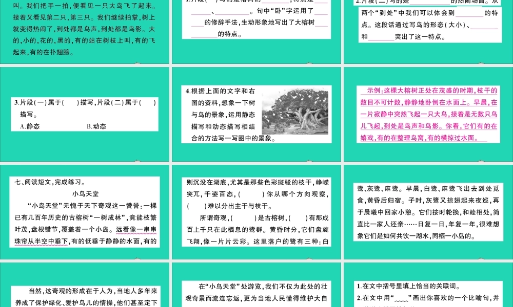 （广东级语文上册 第七单元 23 鸟的天堂作业课件 新人教版-新人教级上册语文课件