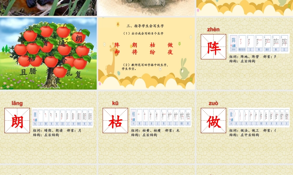 （秋季版）二年级语文上册 寒号鸟课件1 新人教版-新人教版小学二年级上册语文课件